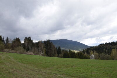 Luboń Wielki 1022m