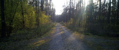 Uroczysko Wólka, skrzyżowanie ↔ Uroczysko Wólka