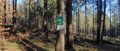 Przełęcz Bory Orawskie