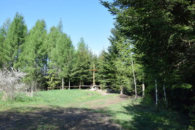 Grzebień 677m