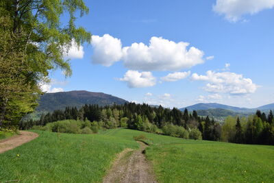 Od lewej Luboń Wielki 1022m i Lubogoszcz 968m