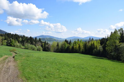 w oddali od lewej Lubogoszcz 968m Śnieżnica 1007m Ćwilin 1072m