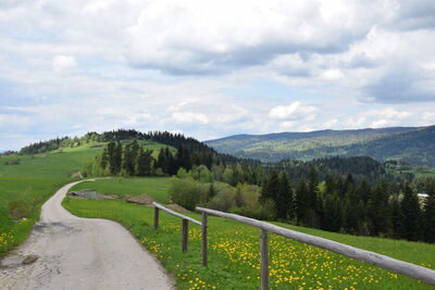 Grzebień 677m