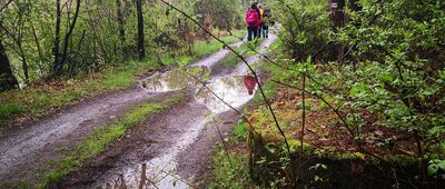 Rozejście szlaków ↔ Jaworzno, elektrownia [Przykład Einmannbunkera, których tu sporo]