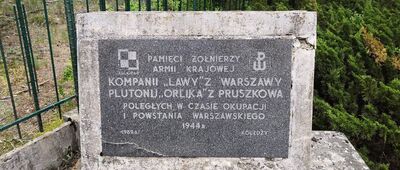 Wiersze, cmentarz partyzancki ↔ Wiersze, pomnik