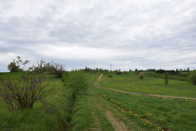 Potaczkowa 746m