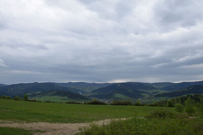 Gorce