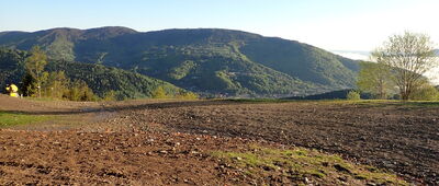 Polana Jaworzyna