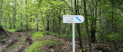 Rozejście ścieżki [Drogowskaz do Stanowiska 9, Granica Kopalni na Kawiej Górze]
