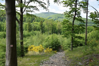 Biskupia Kopa 891m