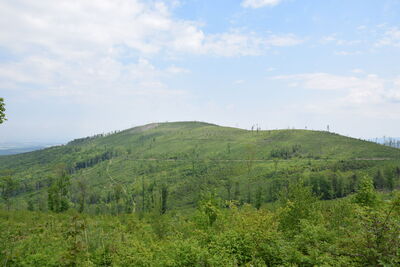 Srebrna Kopa 785m