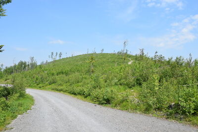 Srebrna Kopa 785m