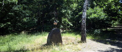 Rozejście szlaków niebieski / żółty