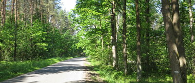 Rozejście szlaków niebieski / zielony ↔ Cegłów, ul. Kolejowa [Między Woźbinią a Cegłowem]