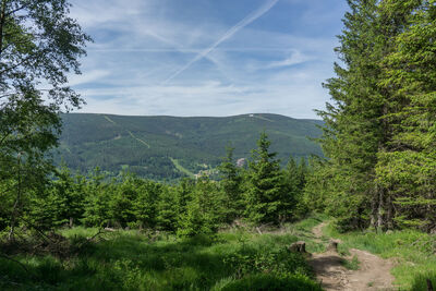 Widok na Stóg Izerski