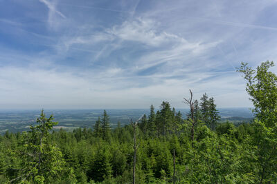 Widok z Sępiej Góry