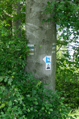 Początek ścieżki Golgota Izerska