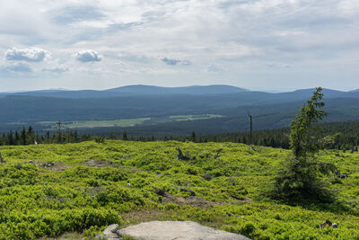Widok na Halę Izerską