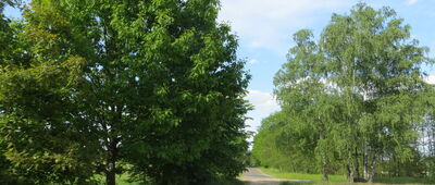 Gołębiówka [Spotkanie szlaku z drogą Skruda-Gołębiówka]