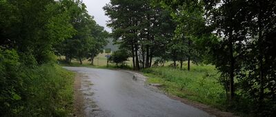 Walim, ul. Górna ↔ Rozdroże pod Kompleksem Włodarz [Do Walimia nudnym asflatem]