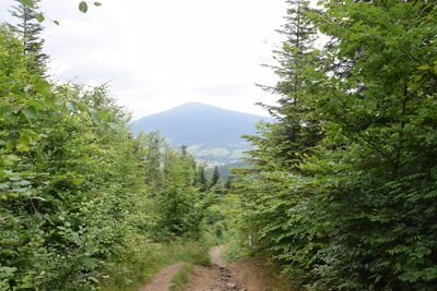 Śnieżnica 1006m
