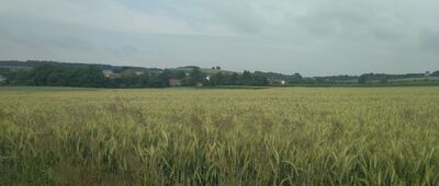 Rozwidlenie nad Dzierzkową ↔ Bożnowice, wschód [Widok na Bożnowice]