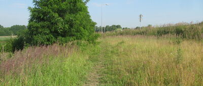 Jastrzębie Zdrój, ul. Wodzisławska ↔ Wodzisław Śląski, ul. Kopernika [Ulica Wodzisławska, obok ronda na początku obwodnicy Jastrzębia. Możliwość przejścia ścieżką na poboczu.]