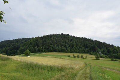 Pępówka 774m