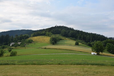 Łyżka 803m