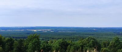 Jaźwina ↔ Dębno [Widok ze szlaku na Jaźwinę]