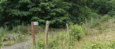 Lubniewice, ośrodek jeździecki