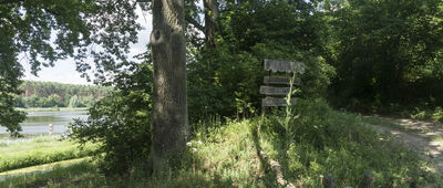 Radachów, cmentarz ↔ Rozejście szlaków