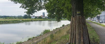 Drzecińskie Bagna ↔ Słubice