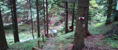 Źródło Zuber [koniec ścieżki powyżej źródła]