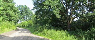 Okoły ↔ Lasek [Wyjście szlaku na drogę Dąbrówka - Karczew]