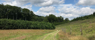 Stara Droga Gliśnieńska ↔ Rozejście szlaków