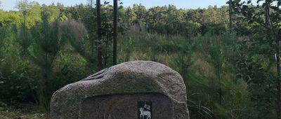 Głaźnik ↔ Koźli Kamień