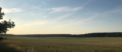 Wąwóz Żubrowski ↔ Rozejście szlaków