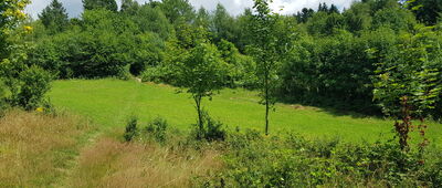 Żurawnica, polana [Pierwsza napotkana polana - wspaniały widok]