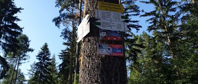 Skrzyżowanie pod Gruntową [Dalej hej ho!]