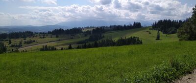 Pod Jankulakowskim Wierchem ↔ Gliczarów Dolny, Gile [Panorama]