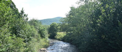Rzeczyca