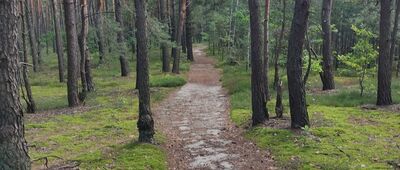 Rozejście szlaków niebieski / żółty ↔ Wiązowna, ul. Parkingowa