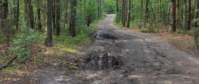 Rozejście szlaków niebieski / żółty ↔ Wiązowna, ul. Parkingowa