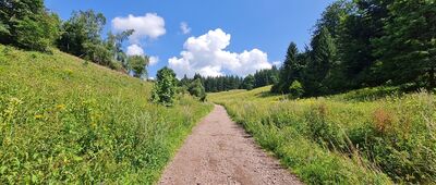 Przełęcz Trzech Dolin ↔ Sokołowiec, skrzyżowanie