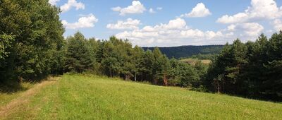 Sufczyna ↔ Huta Brzuska