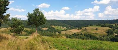 Sufczyna ↔ Huta Brzuska