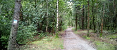 Pod Łużową Górą ↔ Uroczysko Łuże