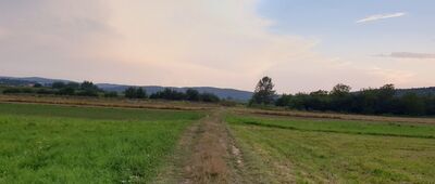 Olszany ↔ Krasiczyn