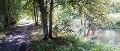 Jeleń, rozejście szlaków ↔ Stawy Belnik (Tarka) [droga wzdłuż Przemszy]